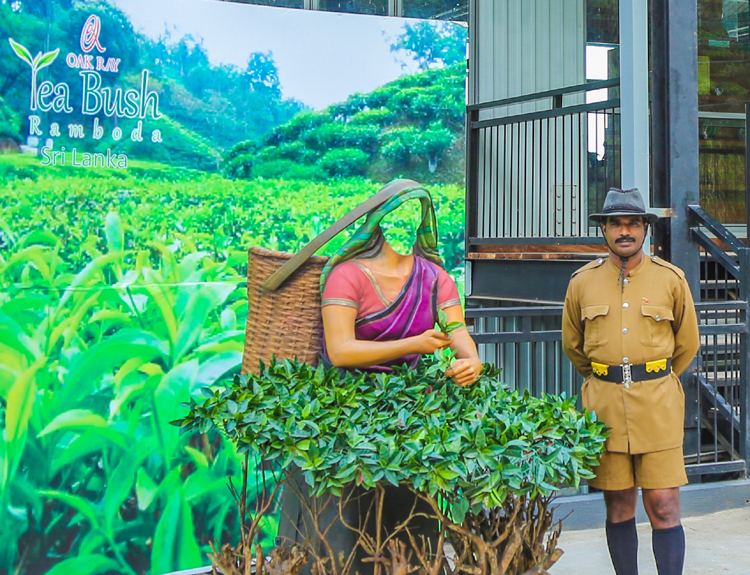 Ramboda Falls and tea factory